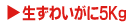 �I�z�[�c�N���̐��Y���C�K�j