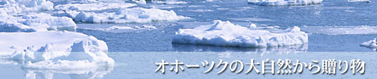 �I�z�[�c�N�C�̑厩�R